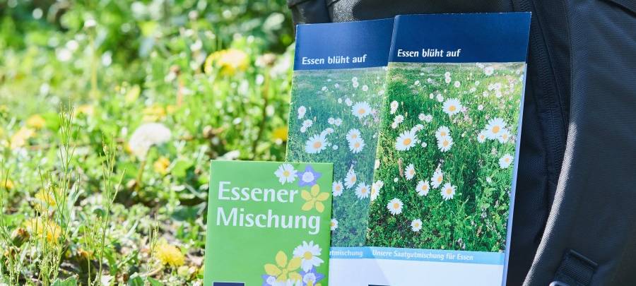 "Essen blüht auf" mit neuer Aktion - Ihr seid gefragt