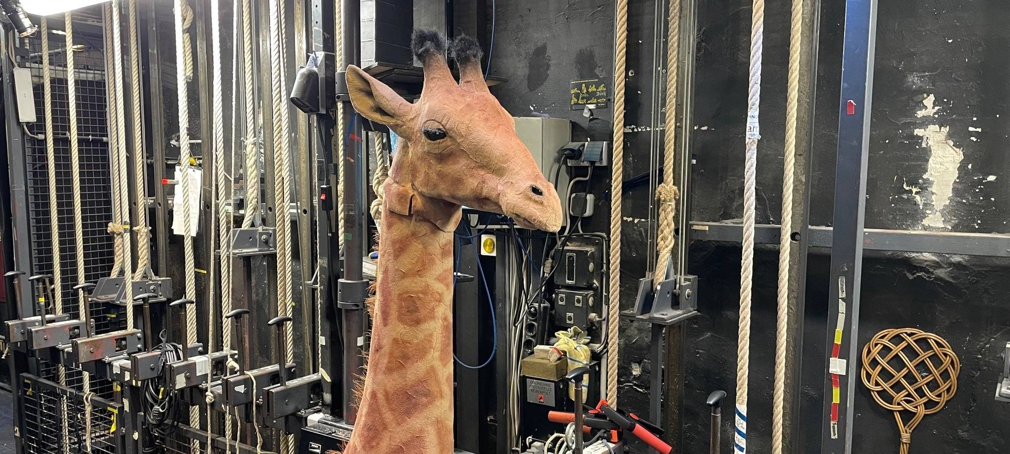 XXL Produktion am Schauspiel Essen: Es wird voll