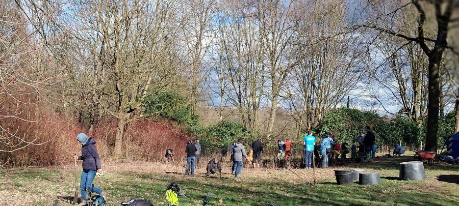 Neuer Miniwald in Essen gepflanzt