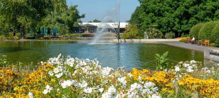 Blumenmeer in Essen: Grugapark startet in die Sommersaison