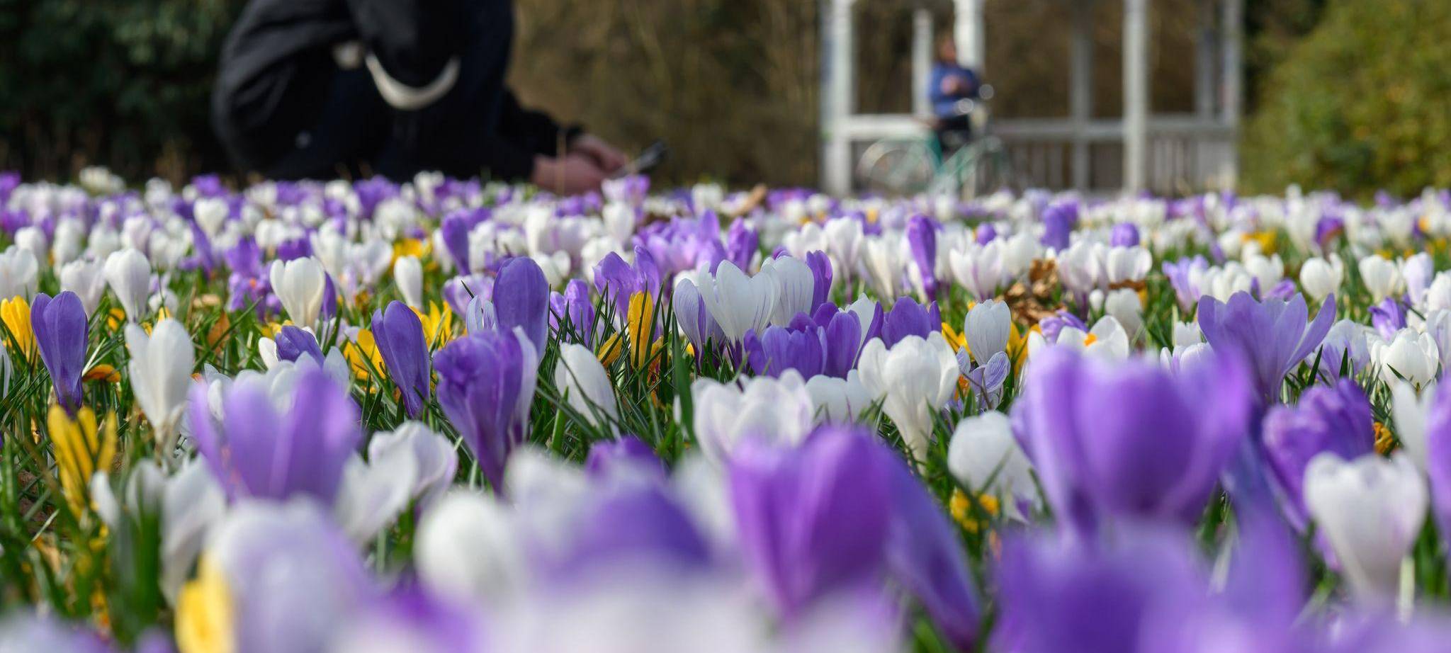 Frühlingserwachen - März-Bilanz DWD