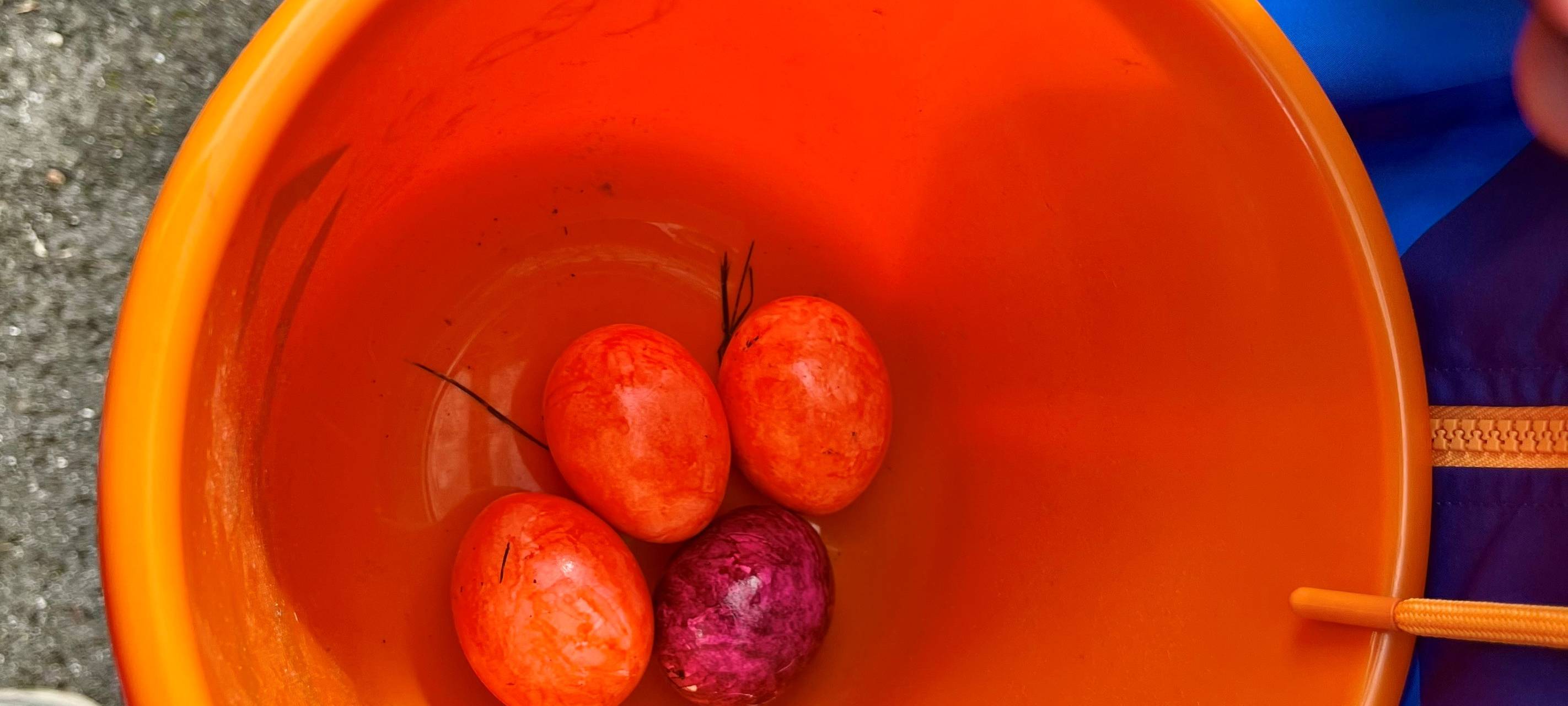 Ostereiersuche in Essen im Freibad Hesse - So war's