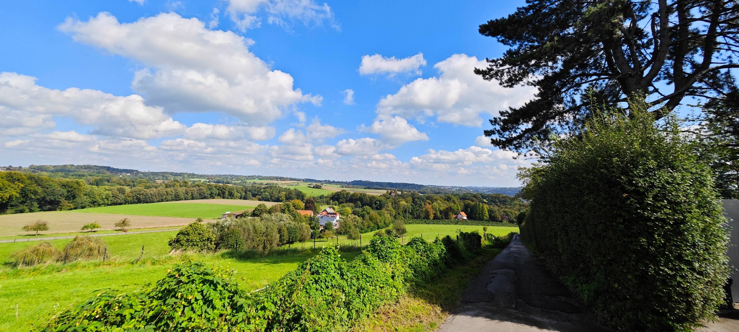 Nächste Runde für den Tag der Steige in Essen
