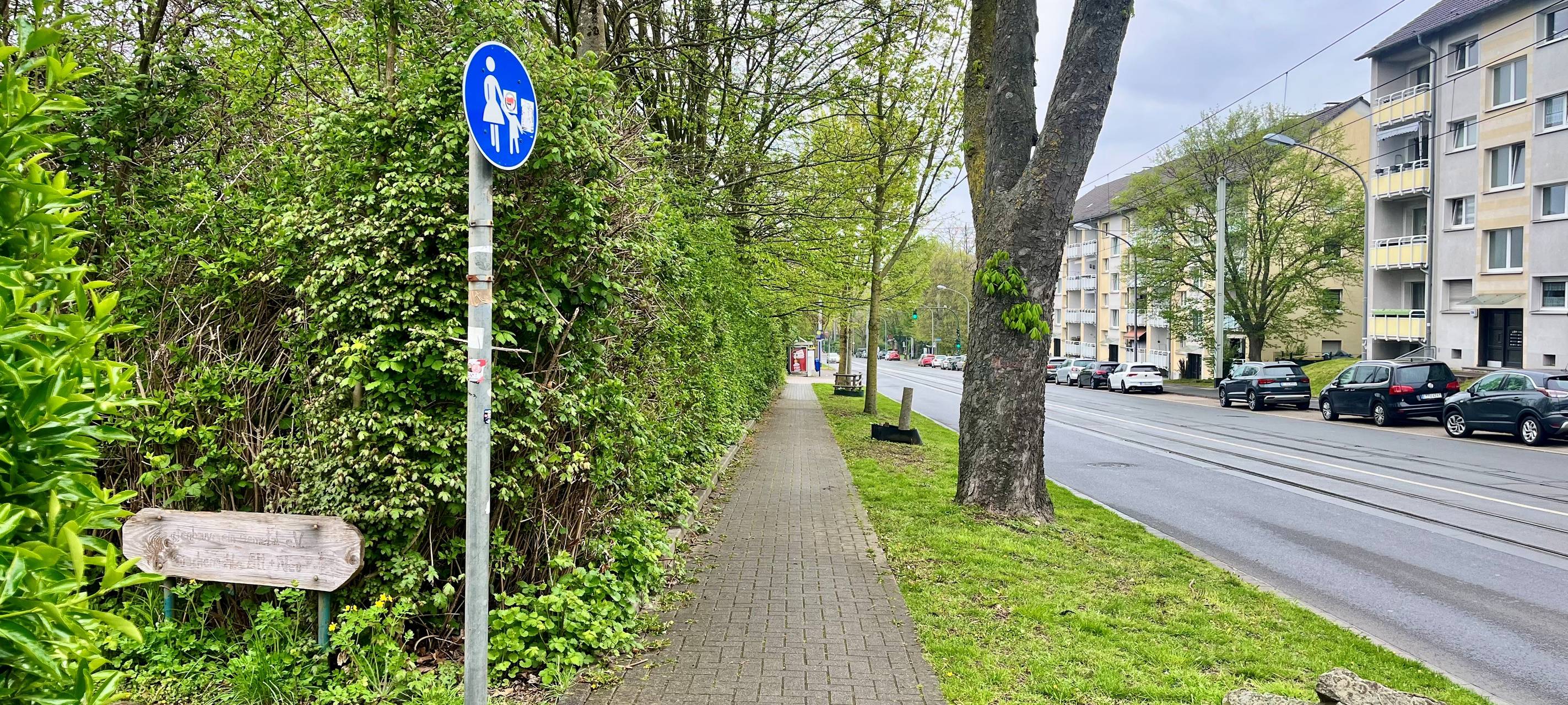 Kleingärtner aus Essen hoffen auf Hilfe