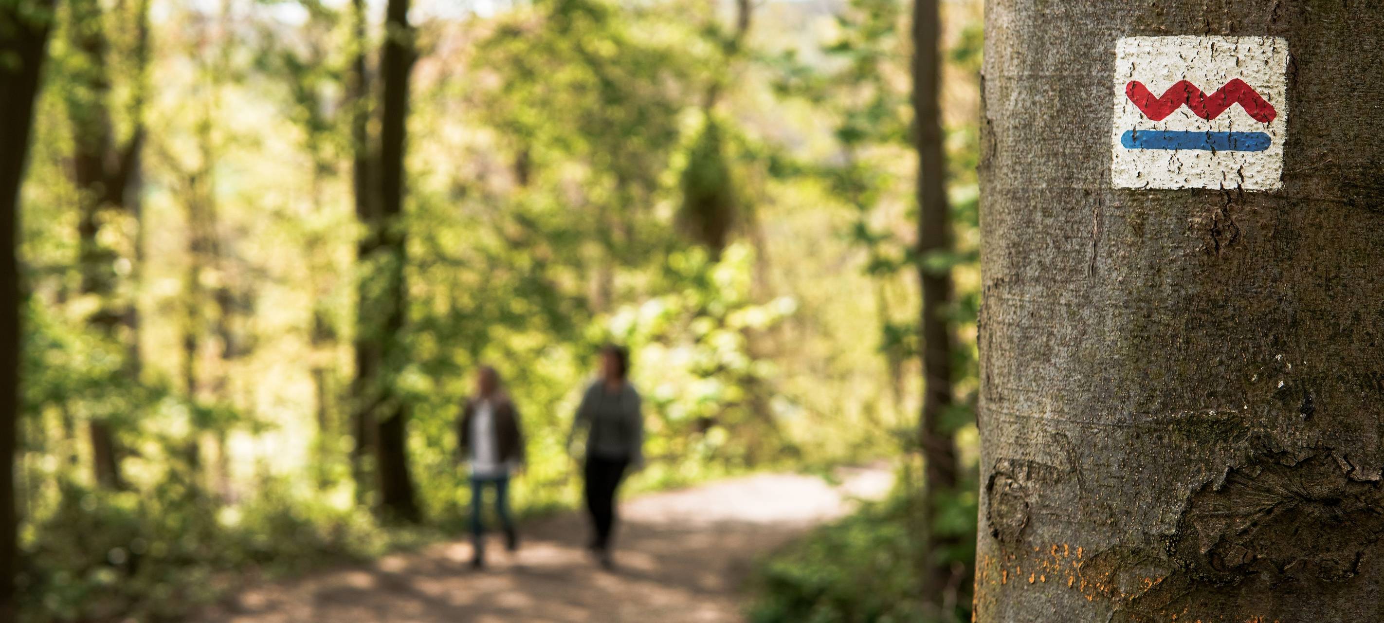 Nächste Runde für den Tag der Steige in Essen