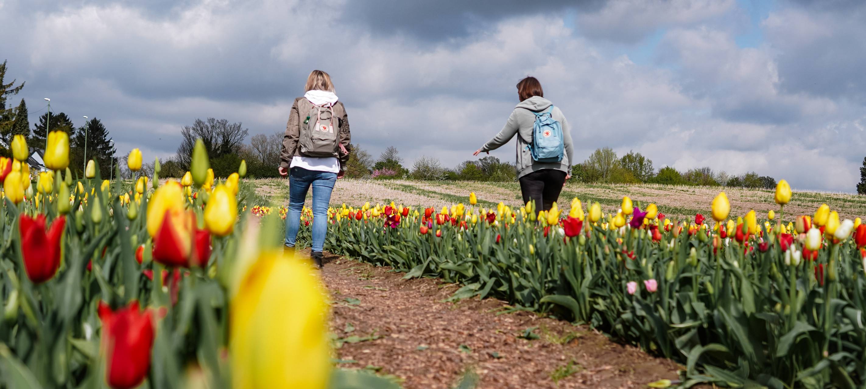 Nächste Runde für den Tag der Steige in Essen