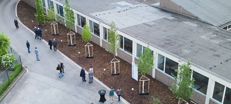 Bäume in Essen sollen Klima verbessern