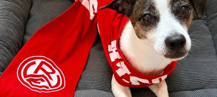 Rot-Weiss Essen vor dem Aufstieg: Schickt uns Eure Fotos!