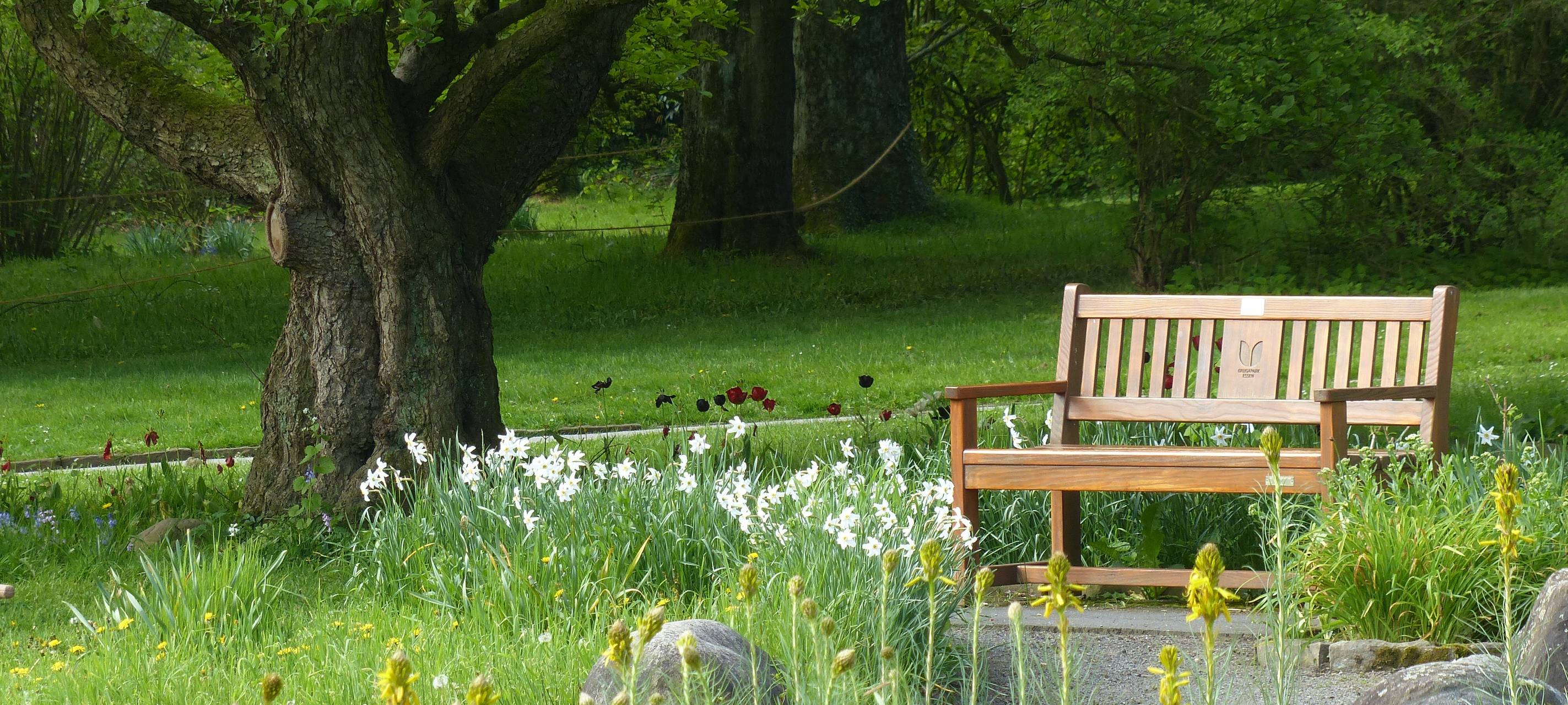 „Park Ansichten“: Neue Einblicke in den Grugapark Essen