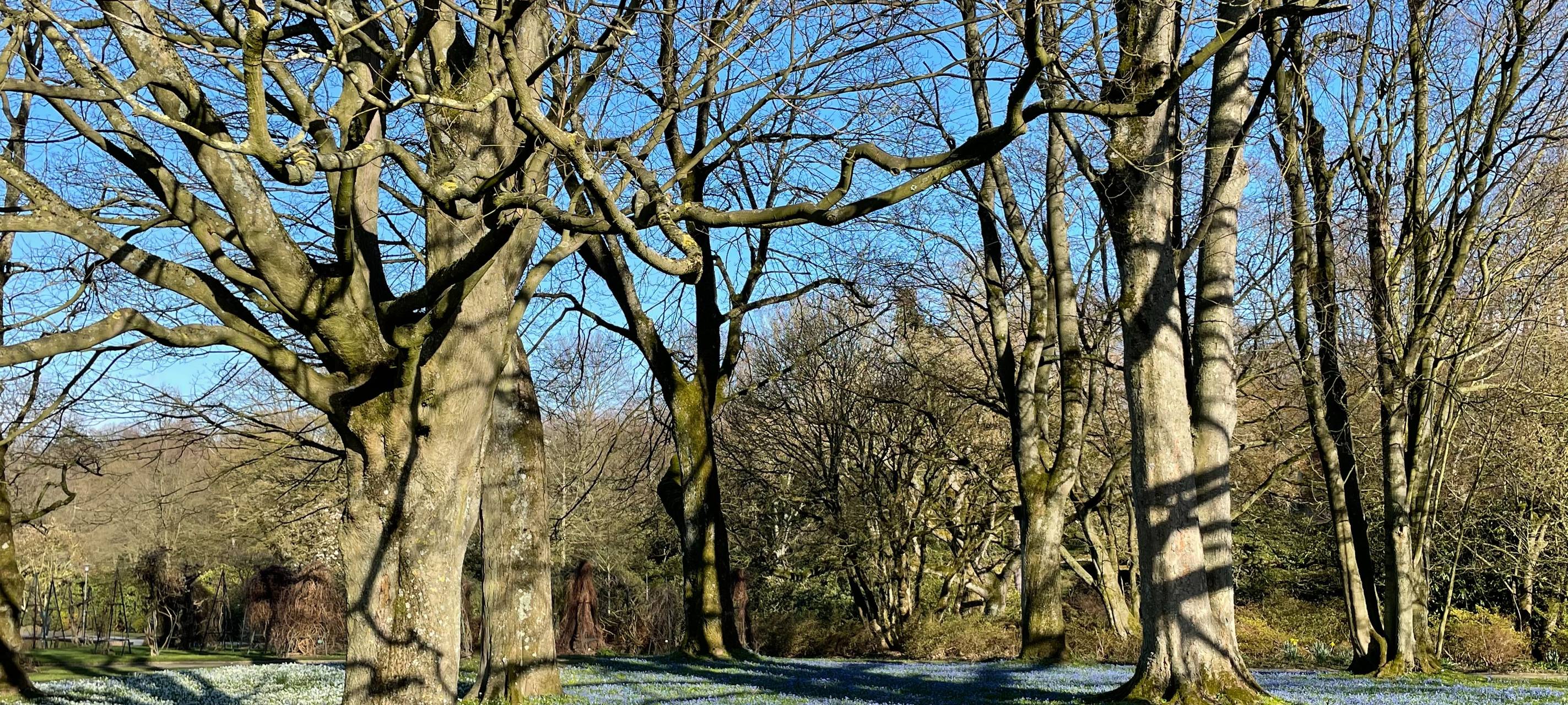 „Park Ansichten“: Neue Einblicke in den Grugapark Essen