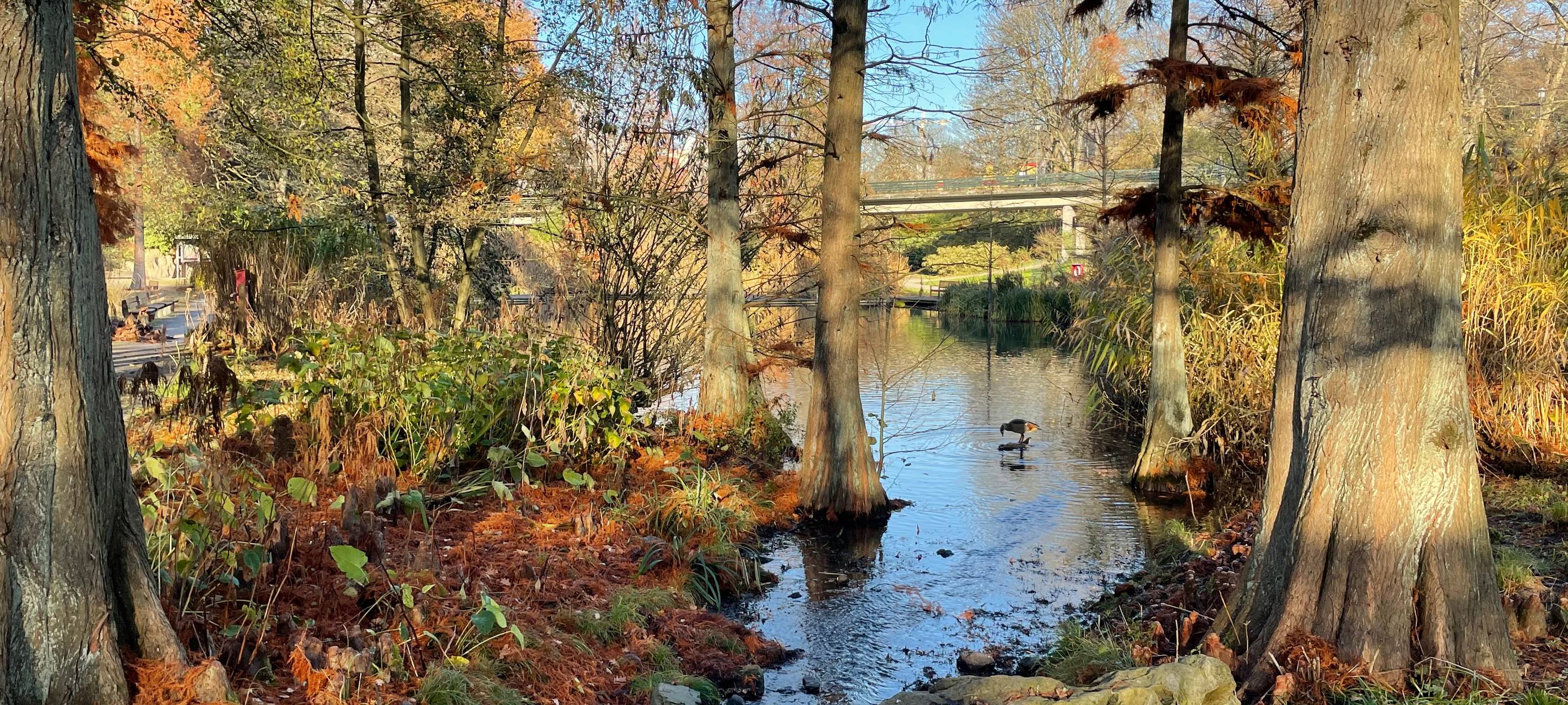 „Park Ansichten“: Neue Einblicke in den Grugapark Essen