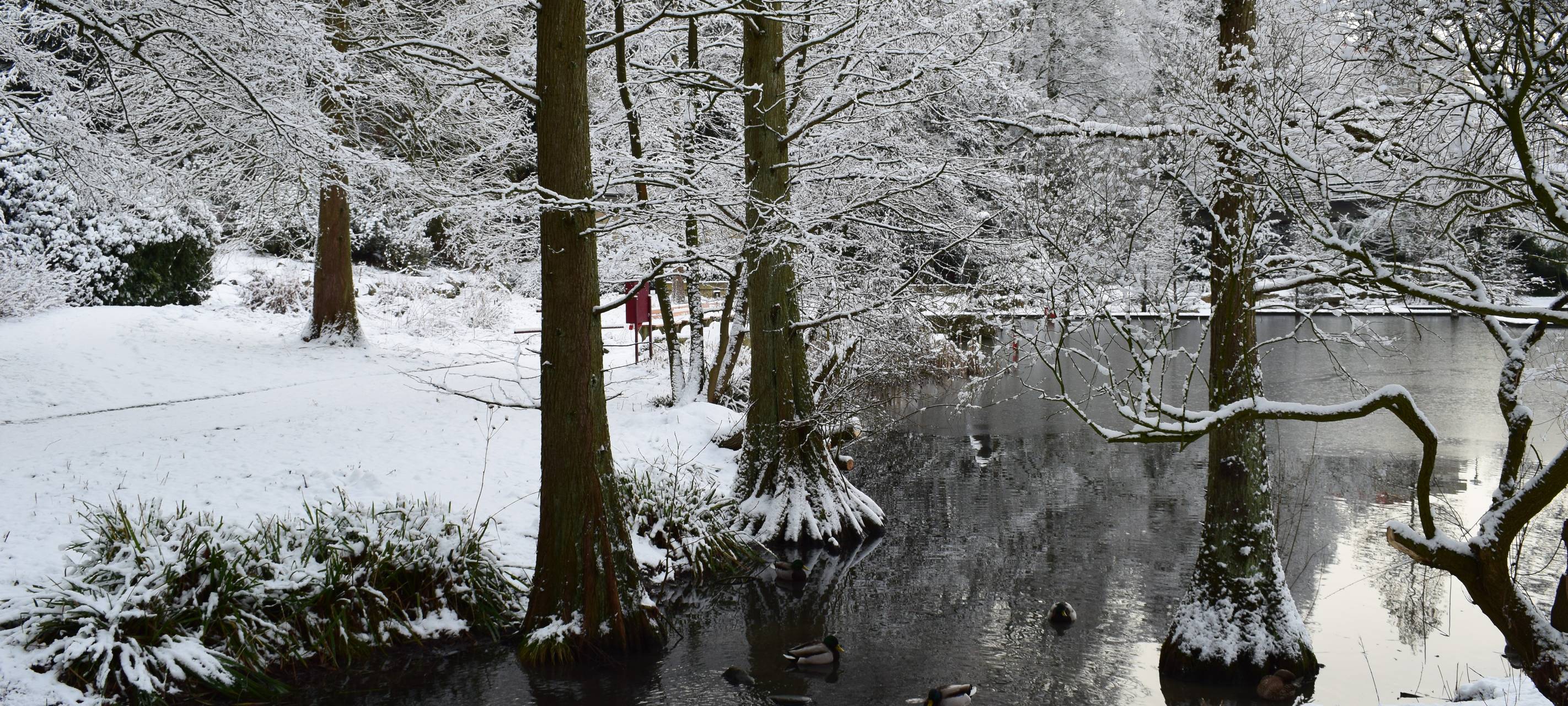 „Park Ansichten“: Neue Einblicke in den Grugapark Essen