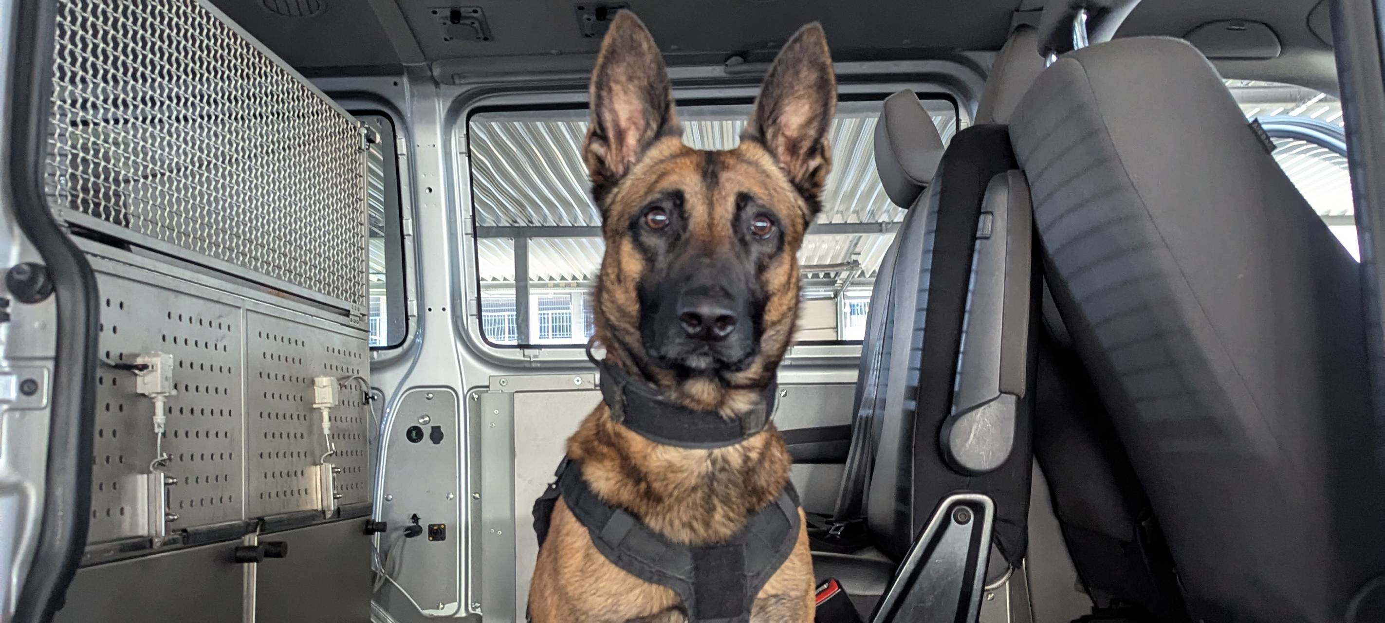 Polizeihund aus Essen stellt Kupferdieb