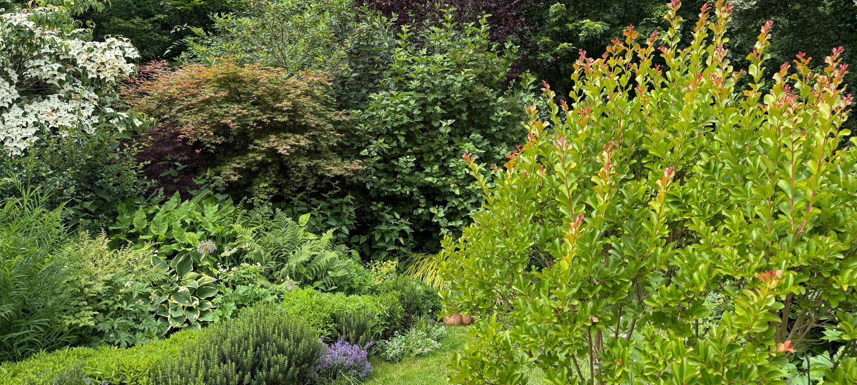 "Hereinspaziert!" in Essen - Tag der offenen Gartenpforte