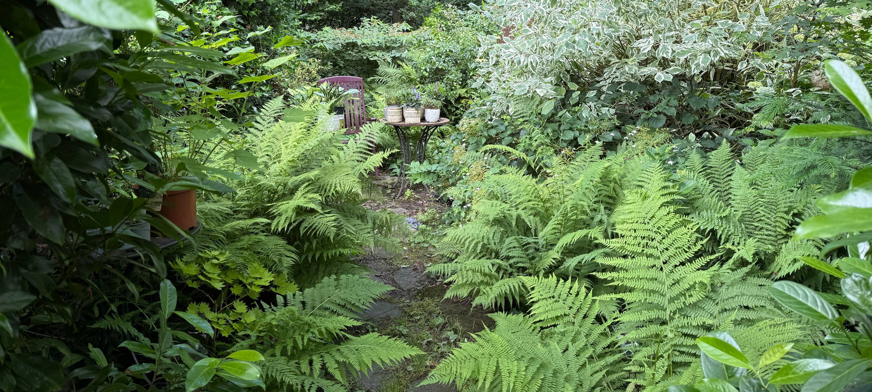 "Hereinspaziert!" in Essen - Tag der offenen Gartenpforte