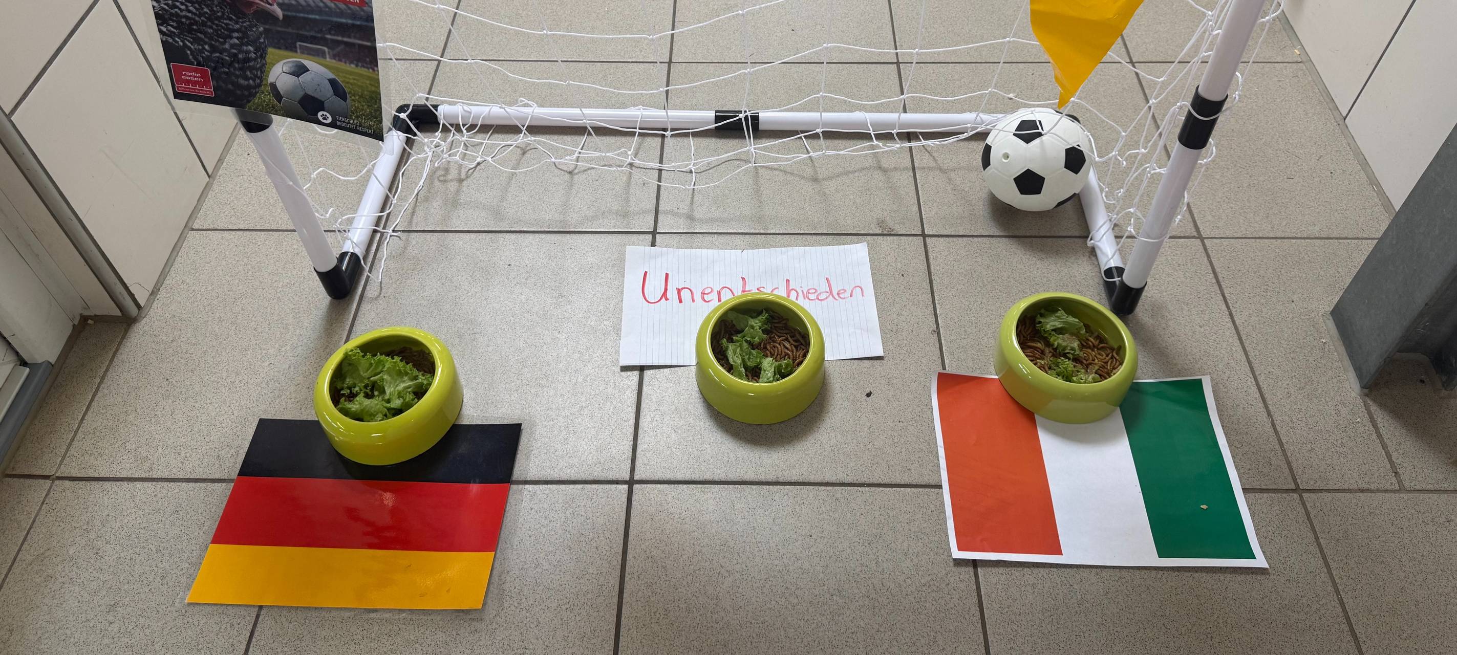 Fußball-WM-Orakel in Essen: Dicke Henne Elke sagt Spielausgang voraus