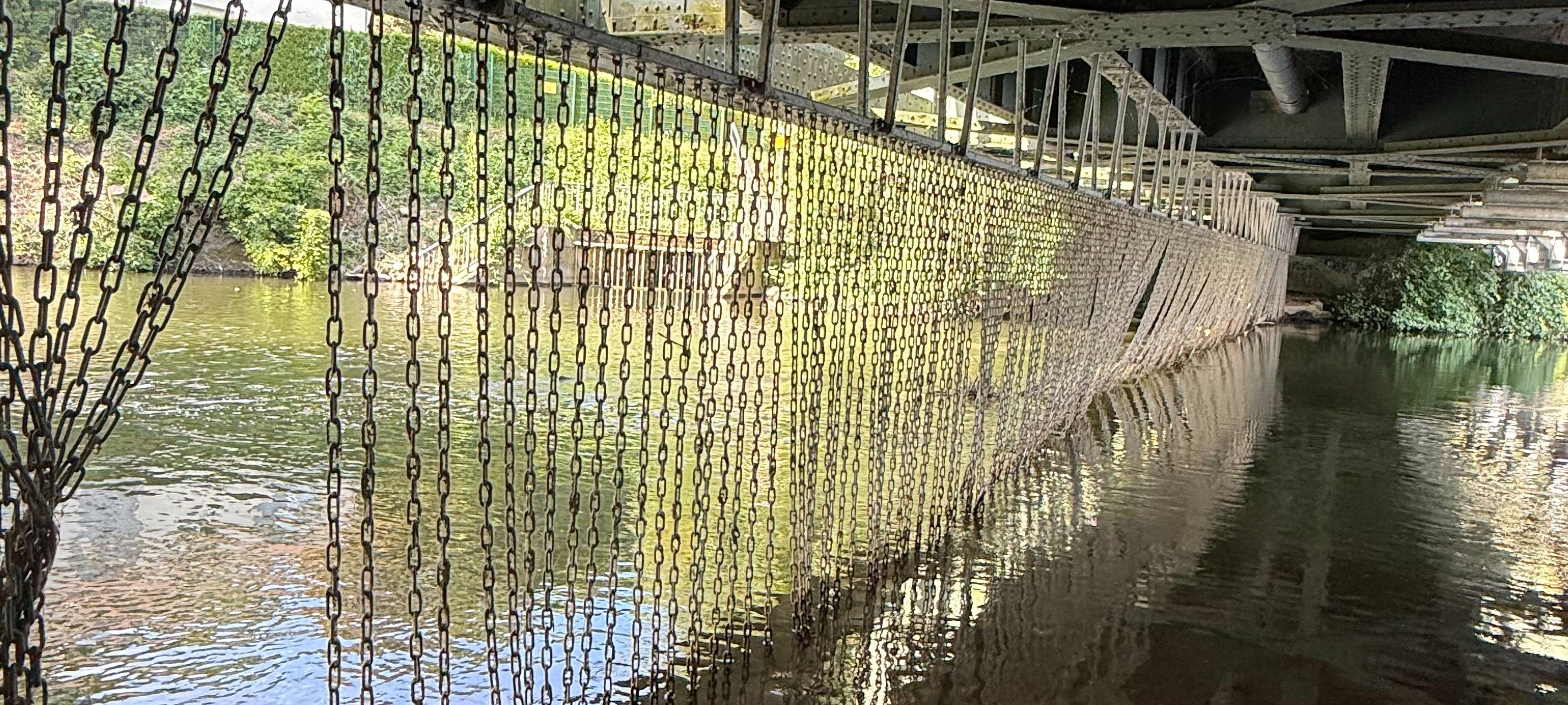 Badeunfälle in Essen: So gefährlich ist das Schwimmen in der Ruhr!