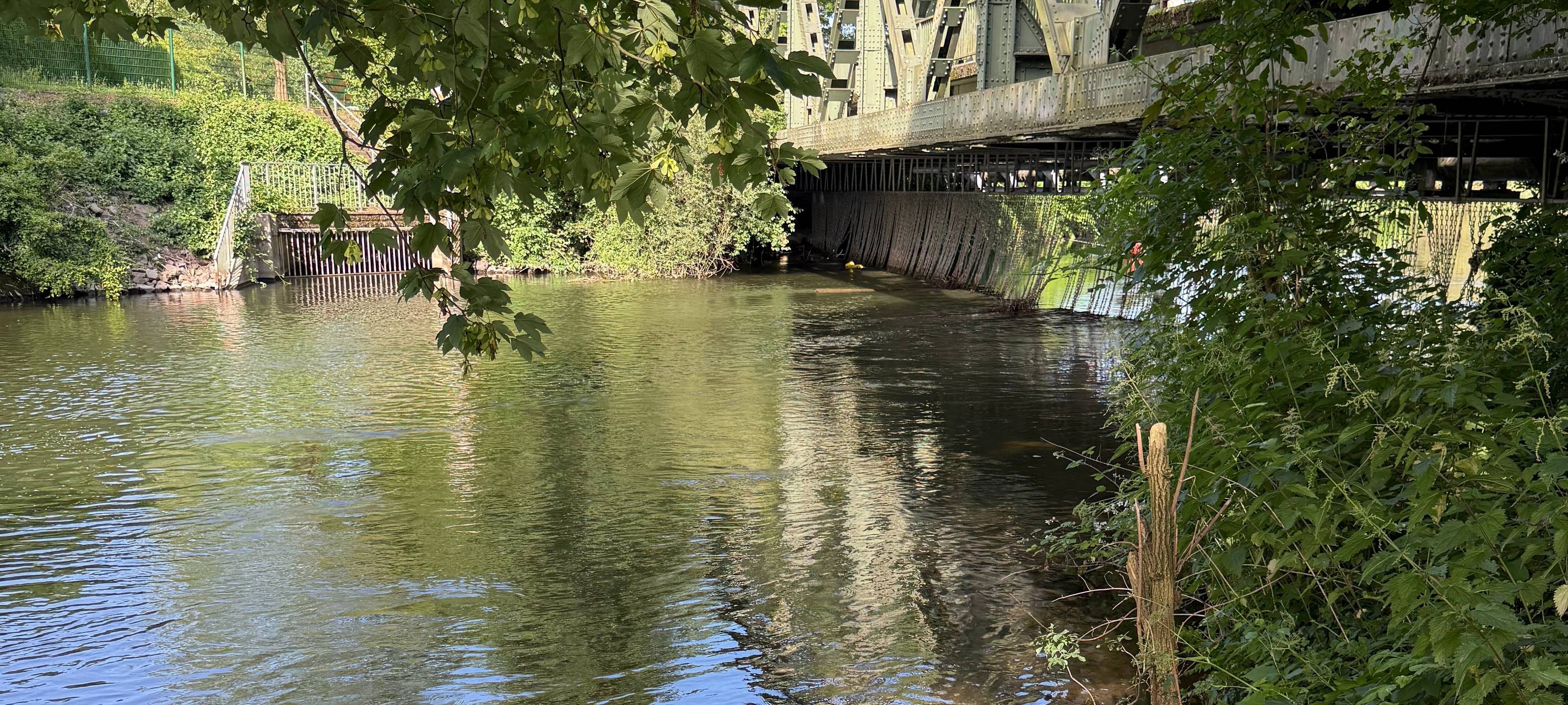 Badeunfälle in Essen: So gefährlich ist das Schwimmen in der Ruhr!
