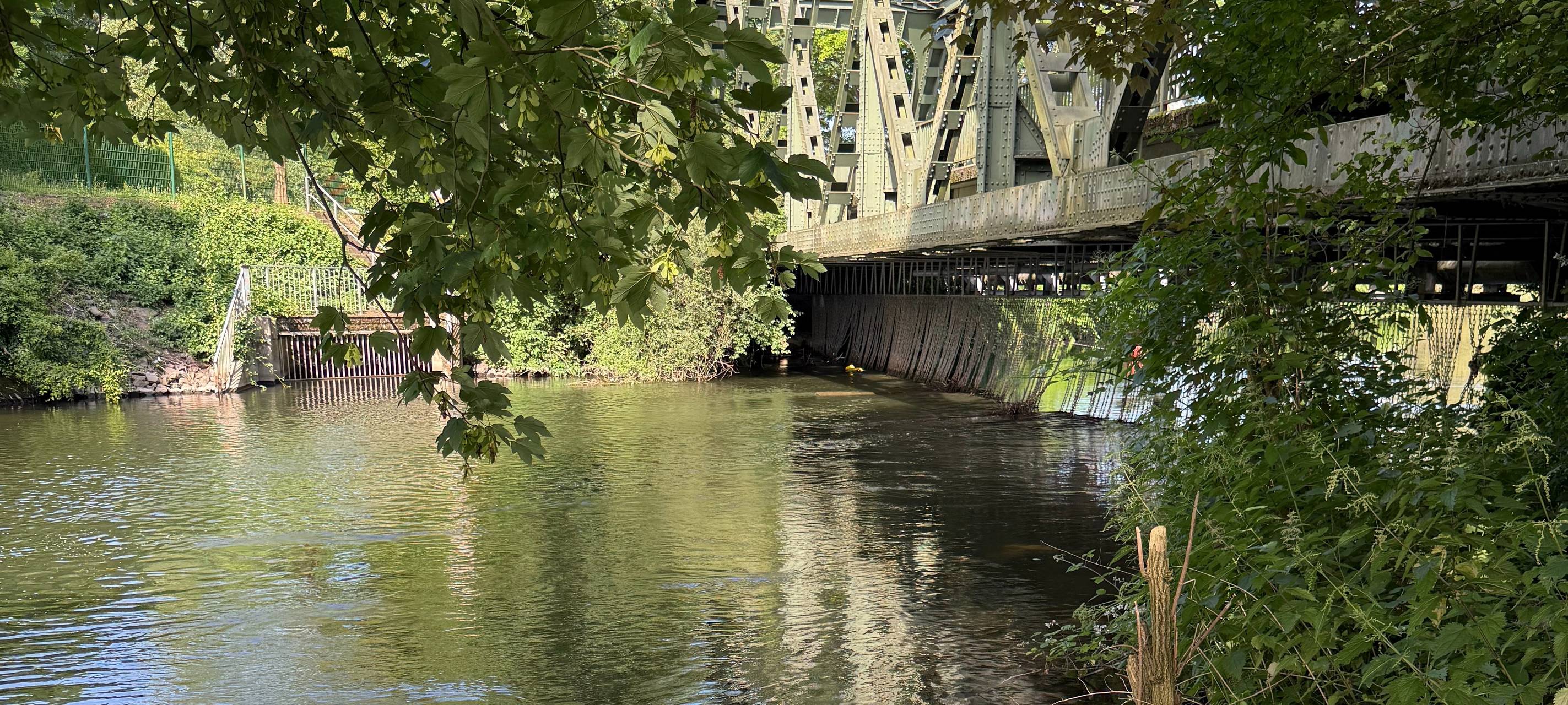 Badeunfälle in Essen: So gefährlich ist das Schwimmen in der Ruhr!