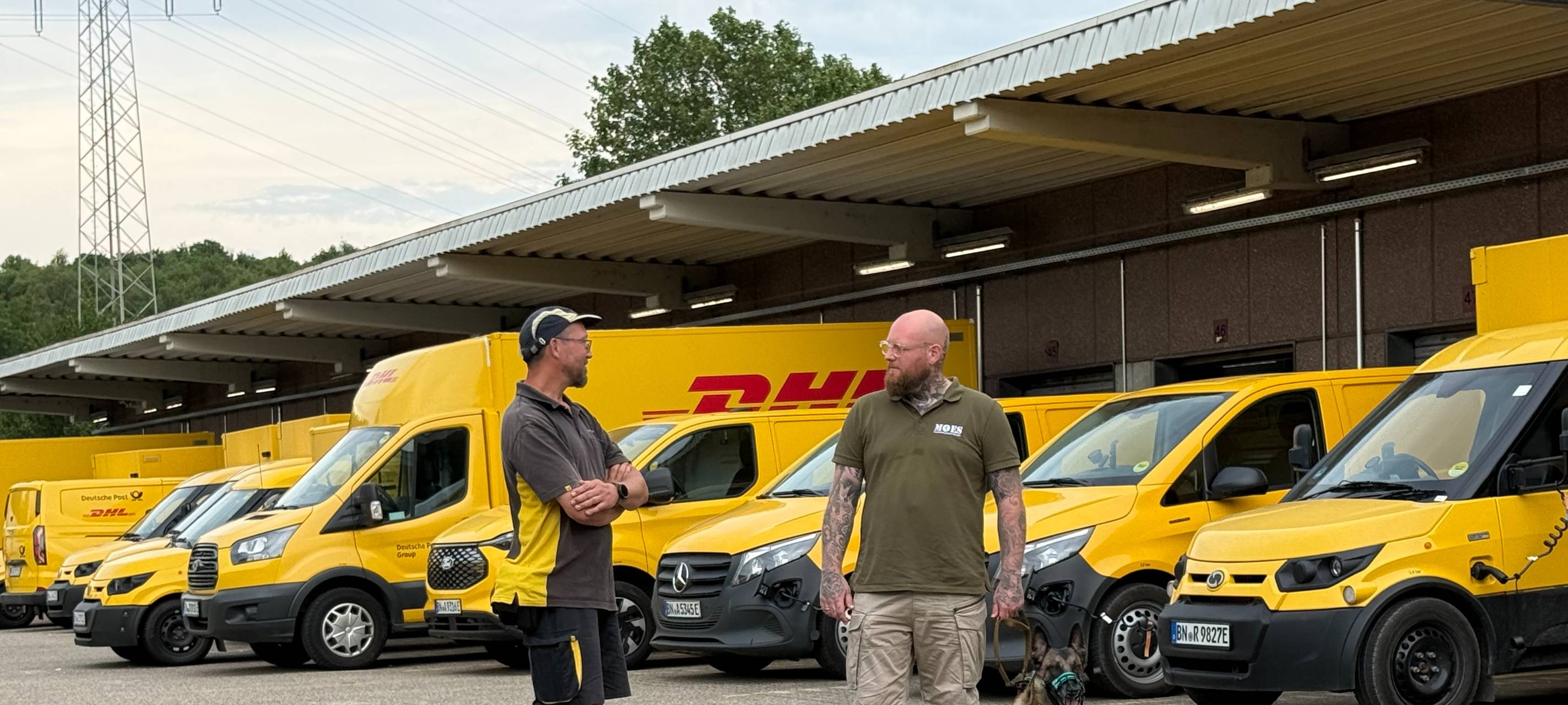 Paketboten in Essen mit speziellem Hundetraining