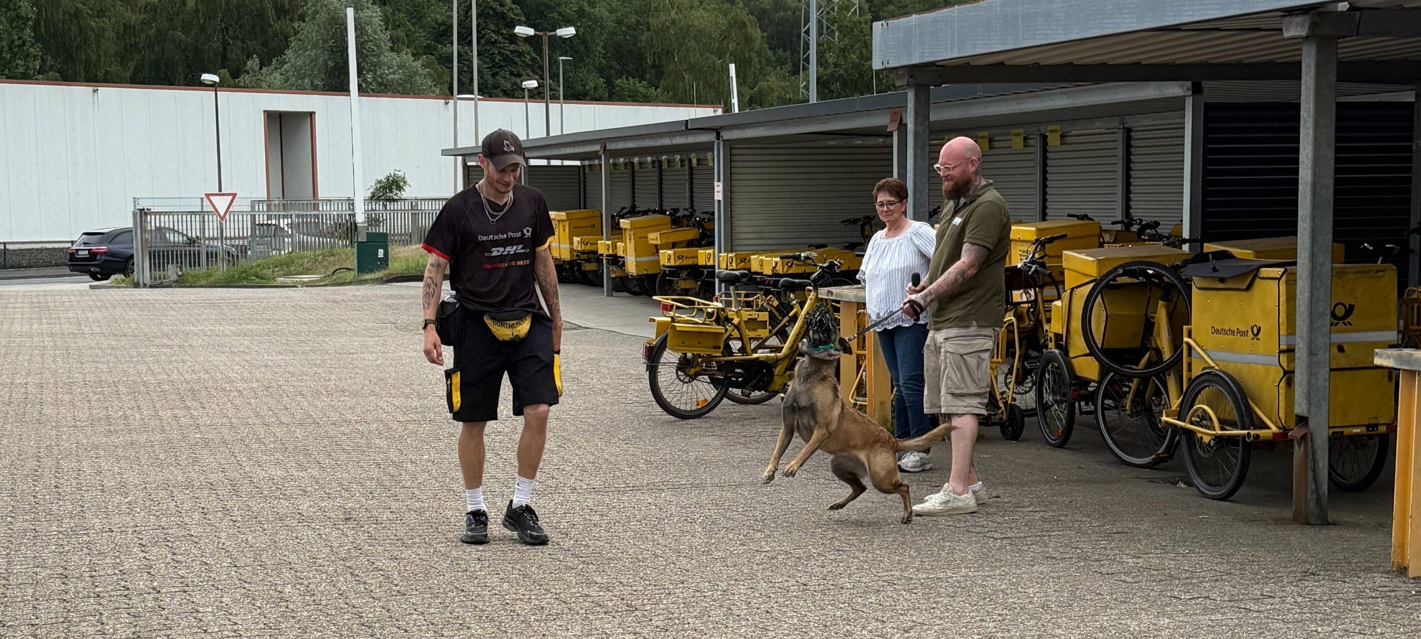 Paketboten in Essen mit speziellem Hundetraining