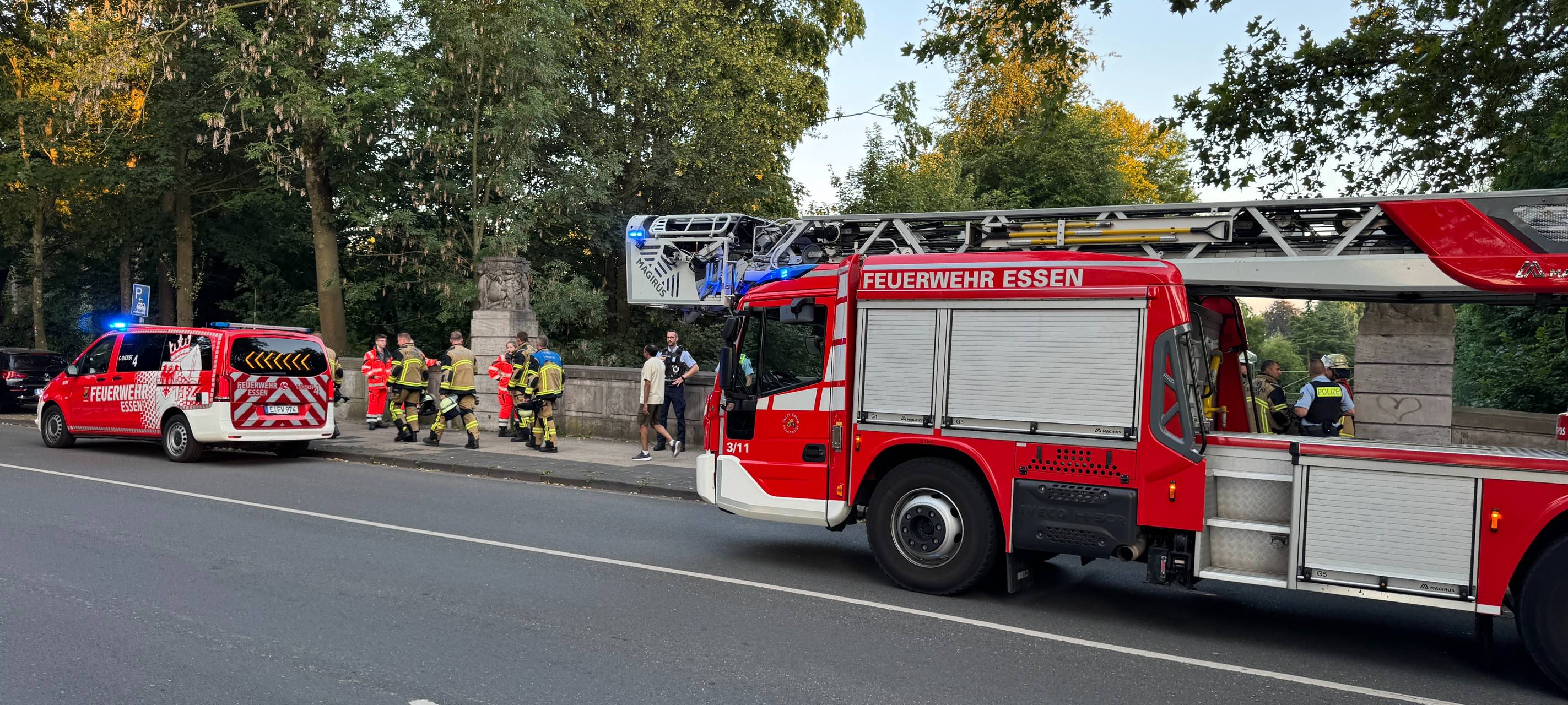 Ast fällt in Essen auf Oberleitung: S-Bahn-Strecke kurzzeitig gesperrt