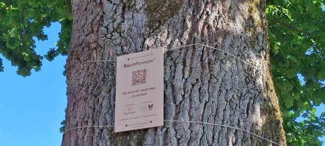 Sprechende Bäume in Essen - Projekt "Baumfluencer" gestartet