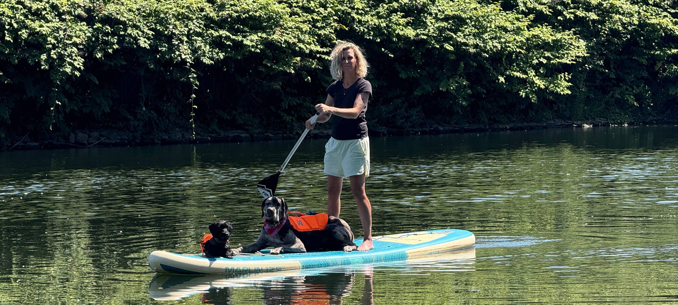 Neuer Kurs in Essen: Stand-up-Paddling mit Hund