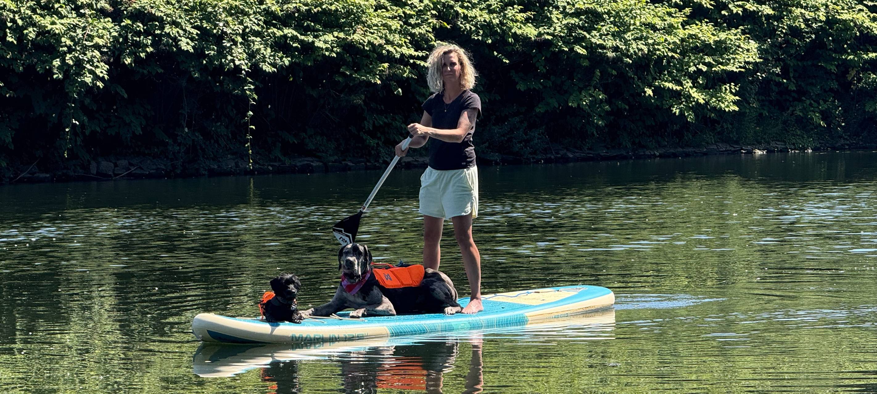 Neuer Kurs in Essen: Stand-up-Paddling mit Hund