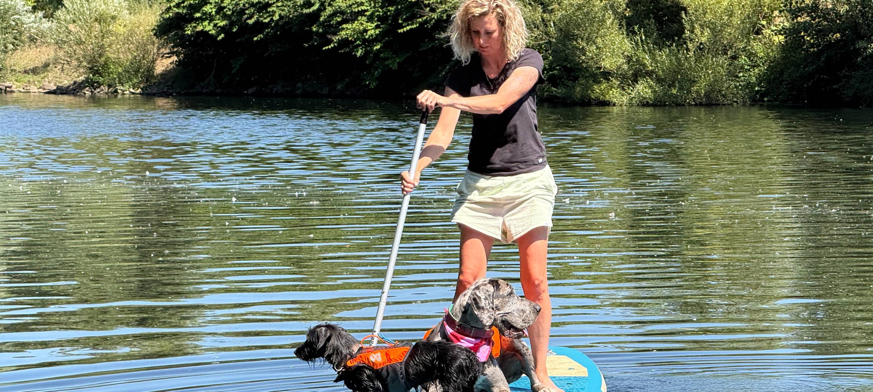 Neuer Kurs in Essen: Stand-up-Paddling mit Hund