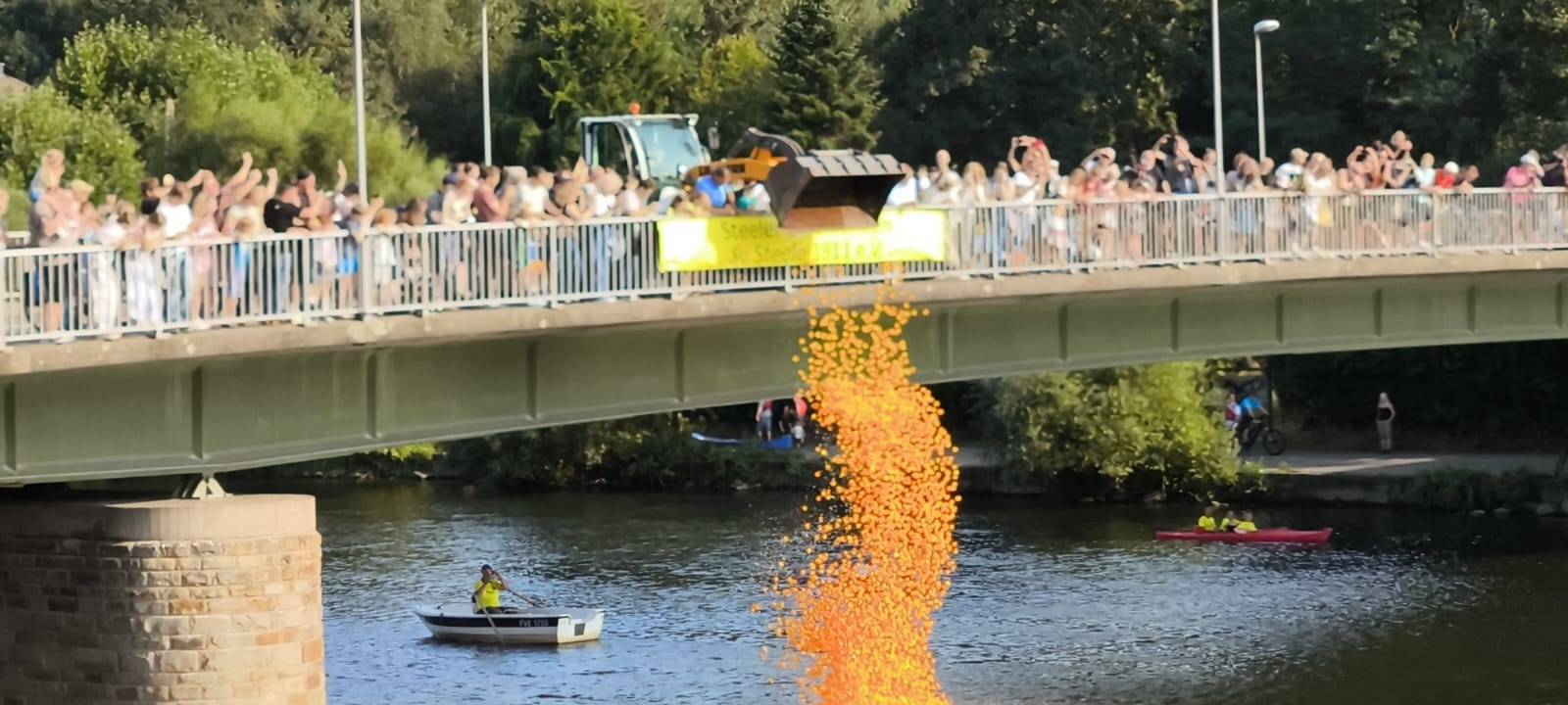 Entenrennen auf der Ruhr in Essen