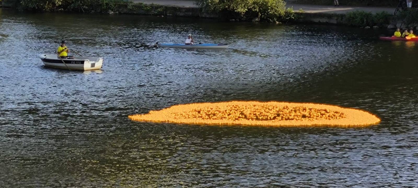 Entenrennen auf der Ruhr in Essen