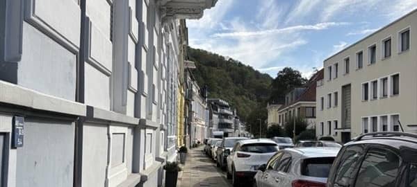 Mehr Bäume in Essen sorgen für viel Diskussion