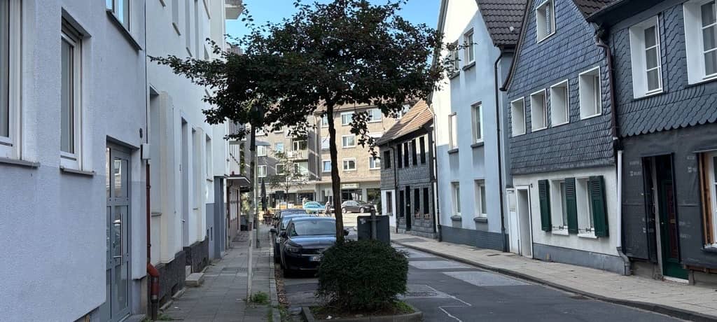 Mehr Bäume in Essen sorgen für viel Diskussion