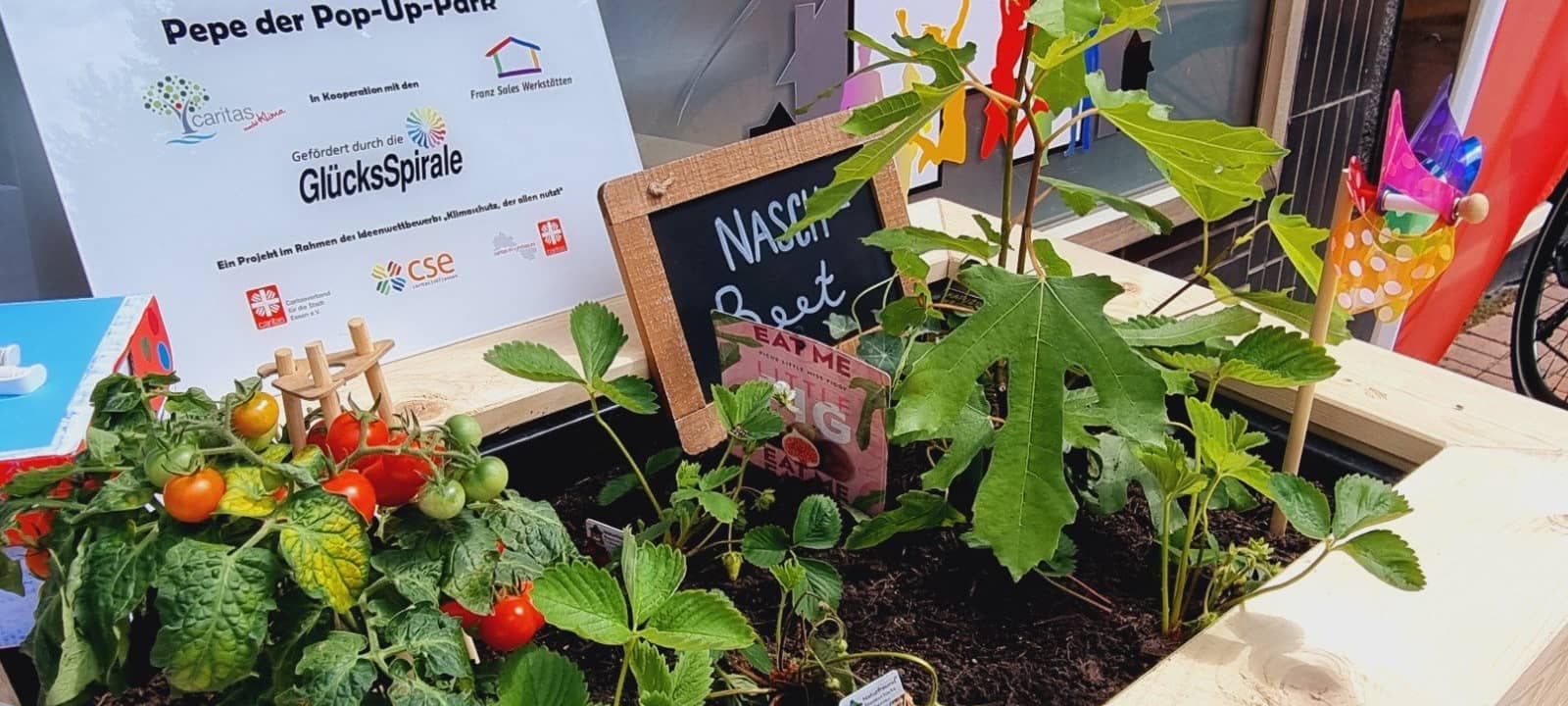 Musikstudio und Pop-Up Park in Essen auf Marktplatz