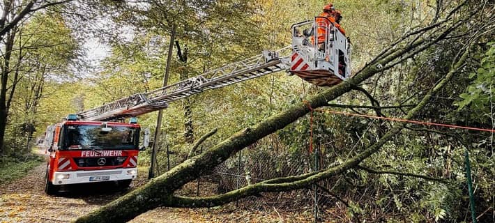 An mehreren Einsatzstellen kamen Drehleitern zum Einsatz, um umgestürzte Bäume zu zerkleinern.
