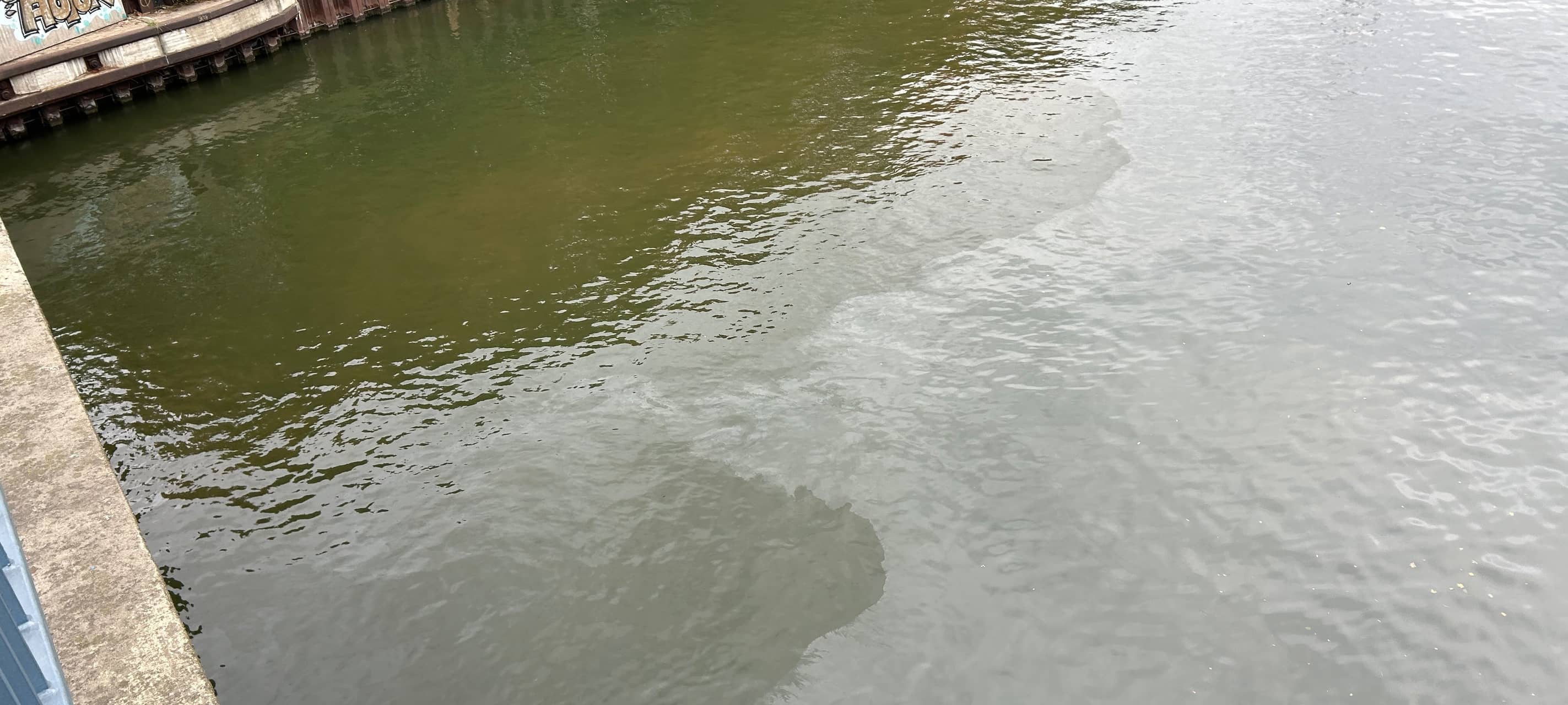 Ölspur auf dem Rhein-Herne-Kanal in Essen