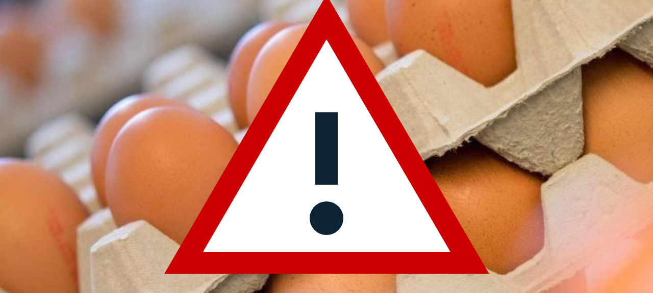 Eier bei Real und Hit in Essen zurückgerufen