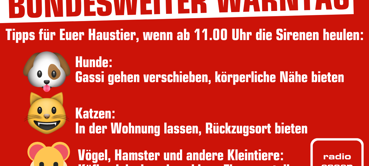 Essen: Sirenen heulen am Warntag - Tipps für Eure Haustiere
