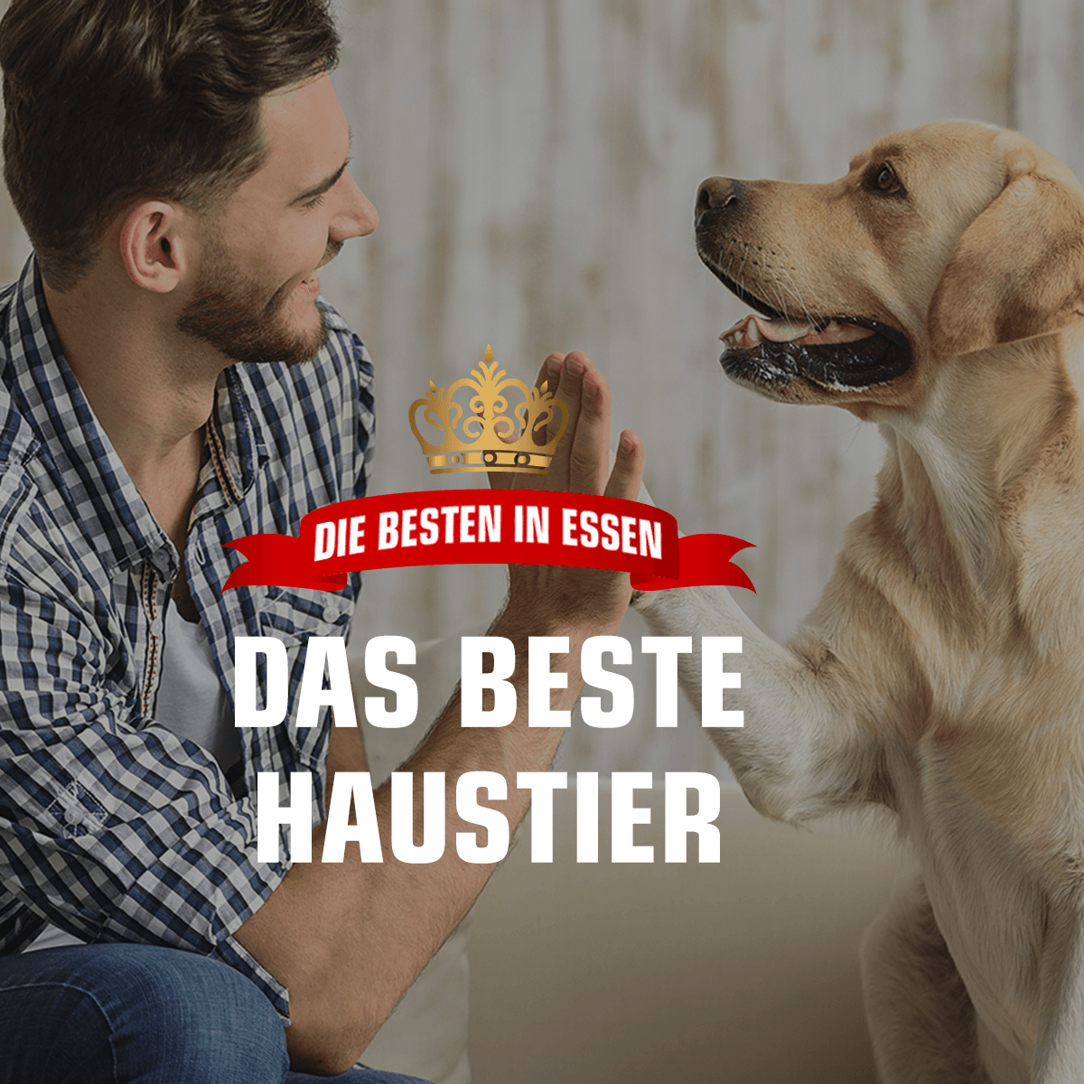 Radio Essen sucht das beste Haustier mit der Aktion "Die Besten in Essen".