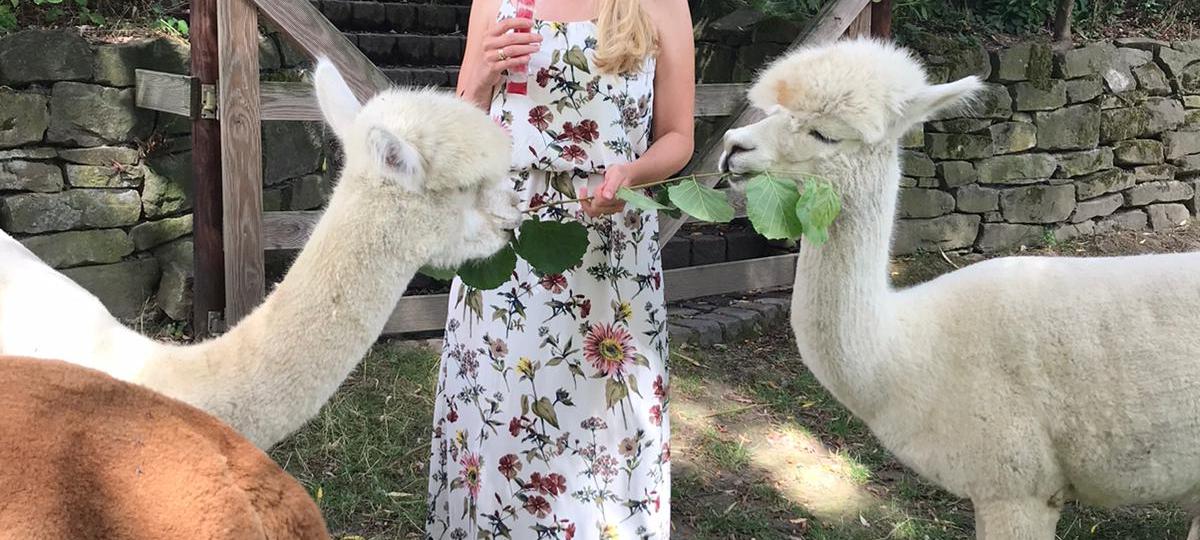 Radio Essen am Puls der Stadt