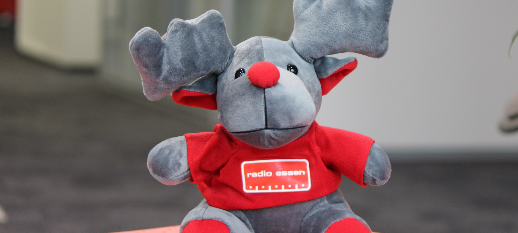 Radio Essen-Elch Emil: So gewinnt Ihr einen süßen Plüsch-Elch bei uns