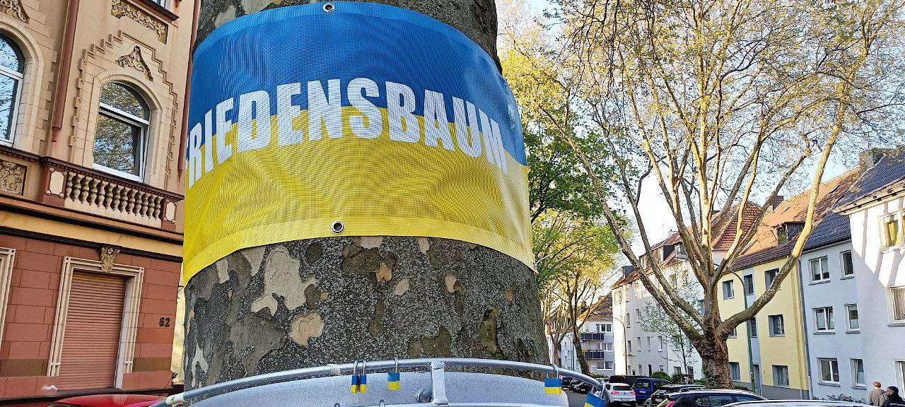 Spenden-Aktion in Essen: Friedensbaum für die Ukraine