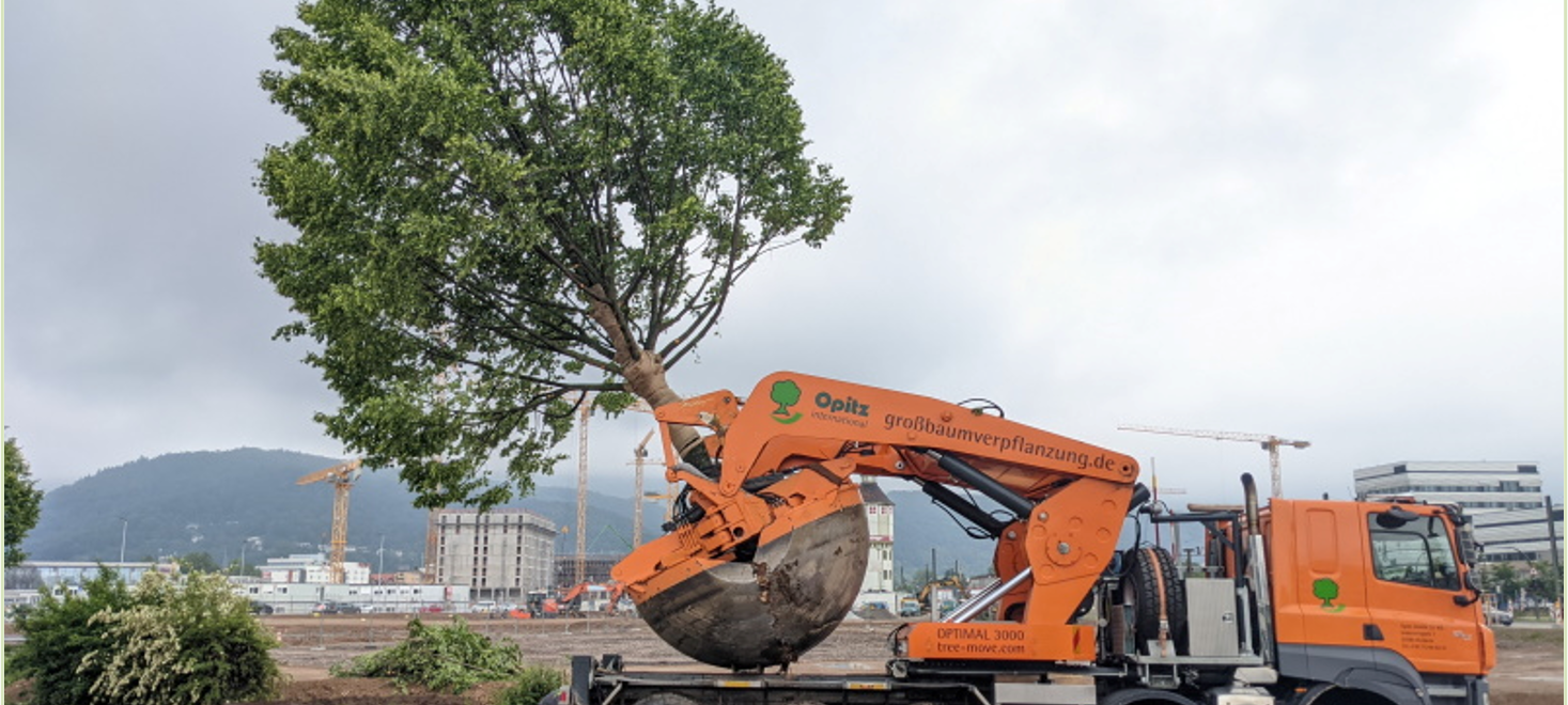 Citybahn Essen - Großbaustelle ab Februar 2023