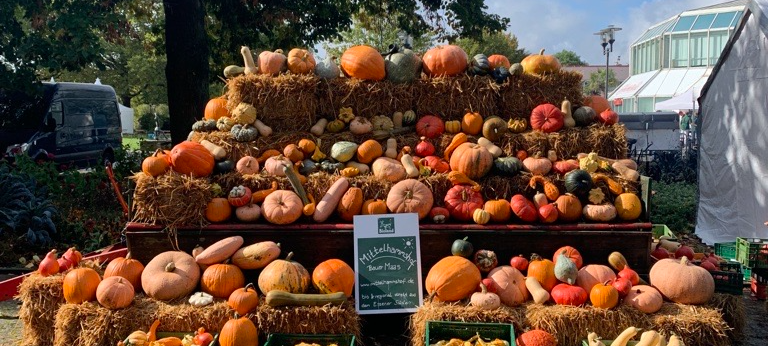 Essen Erntet im Grugapark