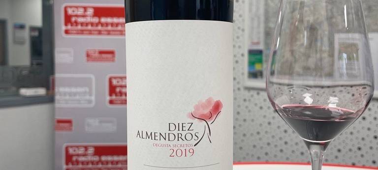 Weinschule in Essen eröffnet: Das steckt dahinter