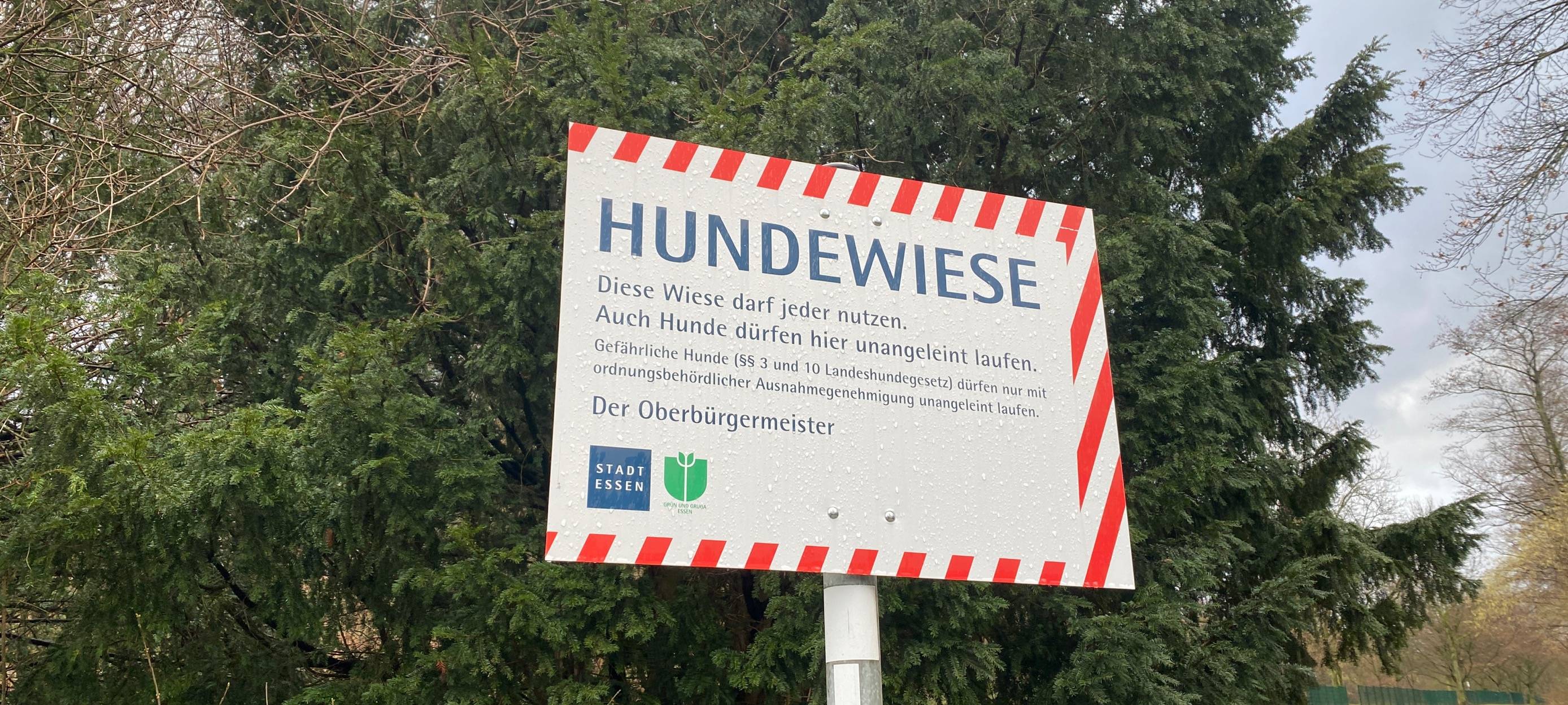Trotz eingezäunter Hundewiesen in Essen: Gefahr für kleine Hunde
