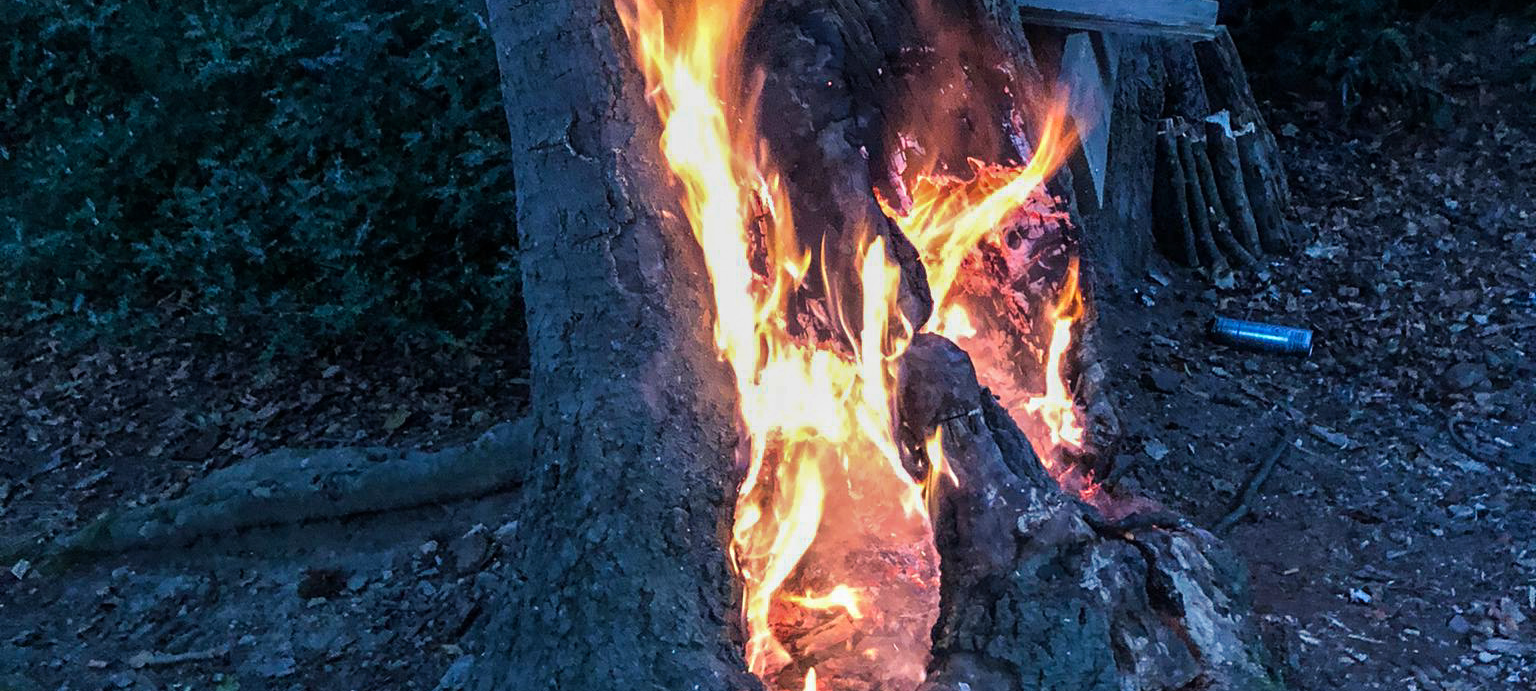 Essen: Brennender Baumstumpf sorgt für längeren Feuerwehreinsatz