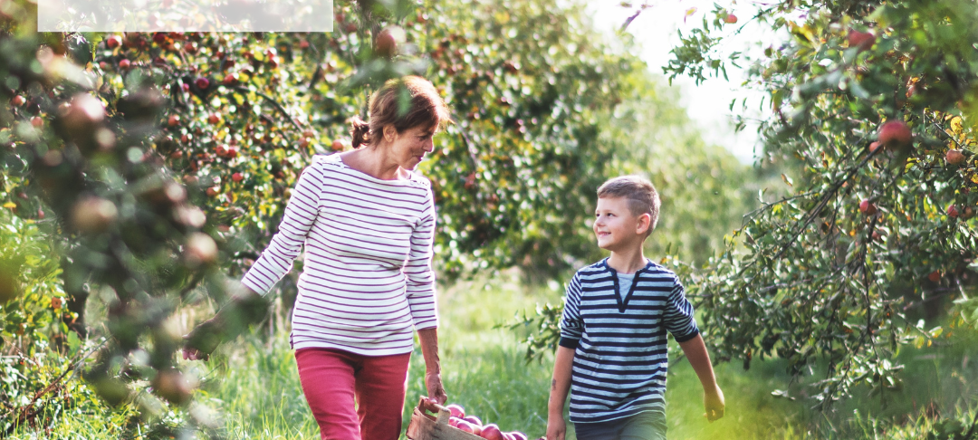 Aktion Klimabäume in Essen: So kommt Ihr an eine Streuobstwiese!
