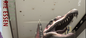 Dinosaurier-Spuren in Essen: Neue Attraktion in der Innenstadt
